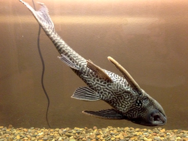 2013-02-13 08.37.26.jpg