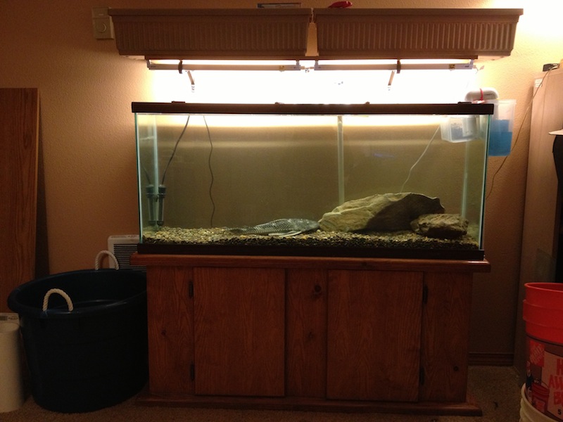 2013-02-12 21.19.36.jpg