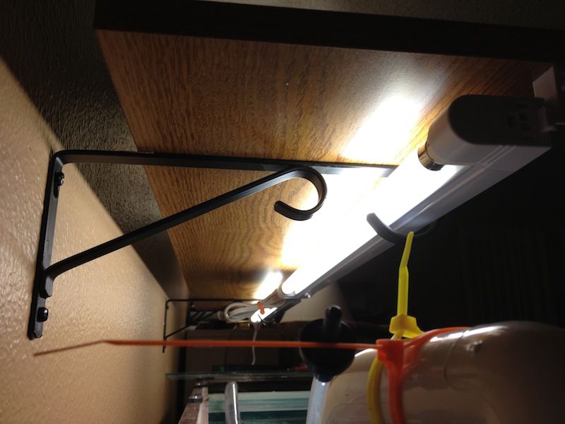 2013-02-12 18.32.51.jpg