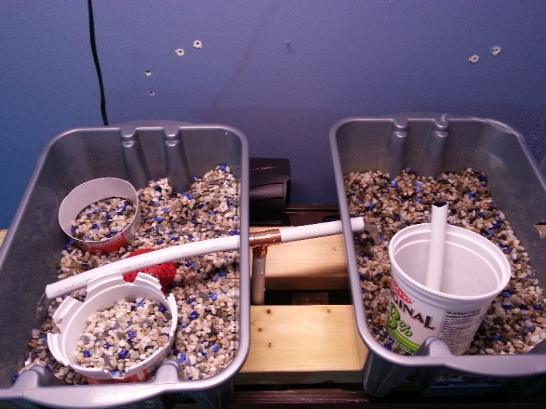 20130213_082319 -morning pic gravel little dry.jpg