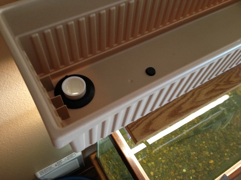 2013-02-13 14.38.22.jpg