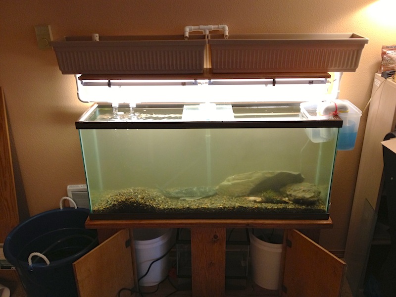 2013-02-13 16.41.31.jpg