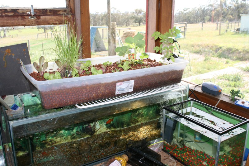 Picture 934 (Custom).jpg