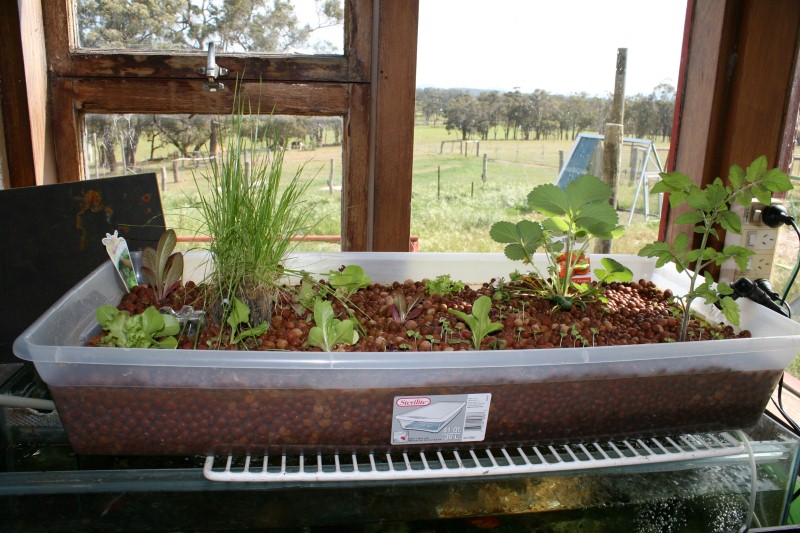 Picture 935 (Custom).jpg