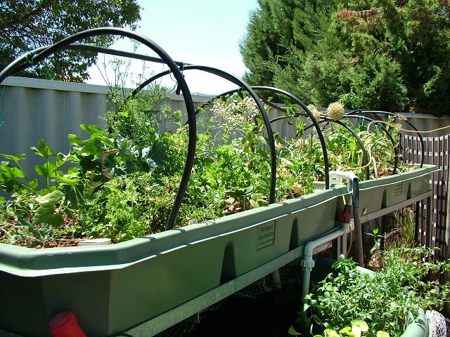 3 years and good as ever.jpg