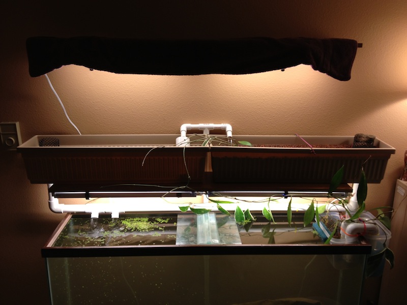 2013-02-14 19.59.41.jpg