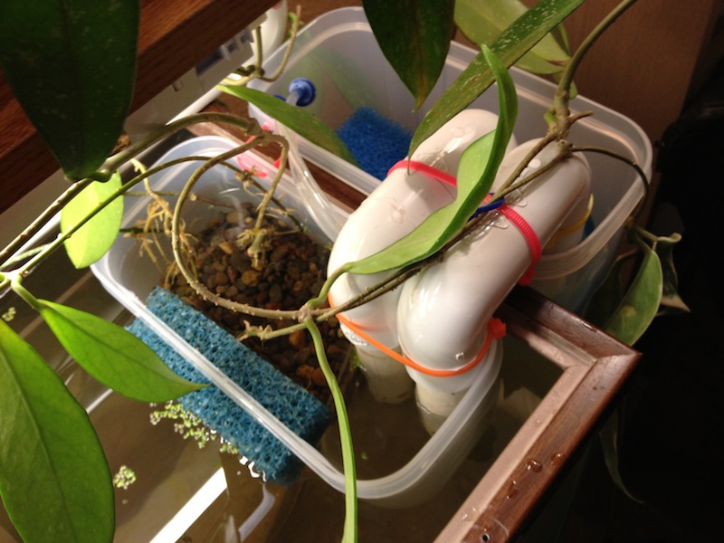 2013-02-14 19.59.06.jpg