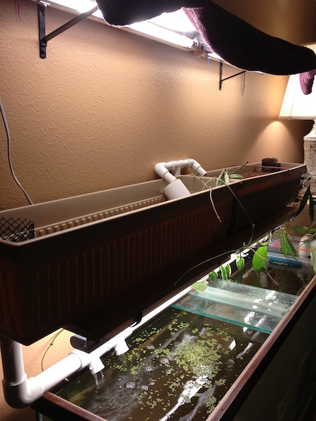 2013-02-14 20.01.13.jpg