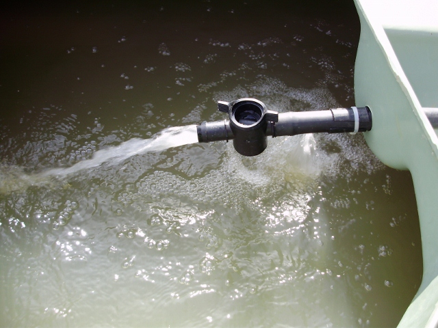 PUMPED WATER TO TROUT TANK.jpg