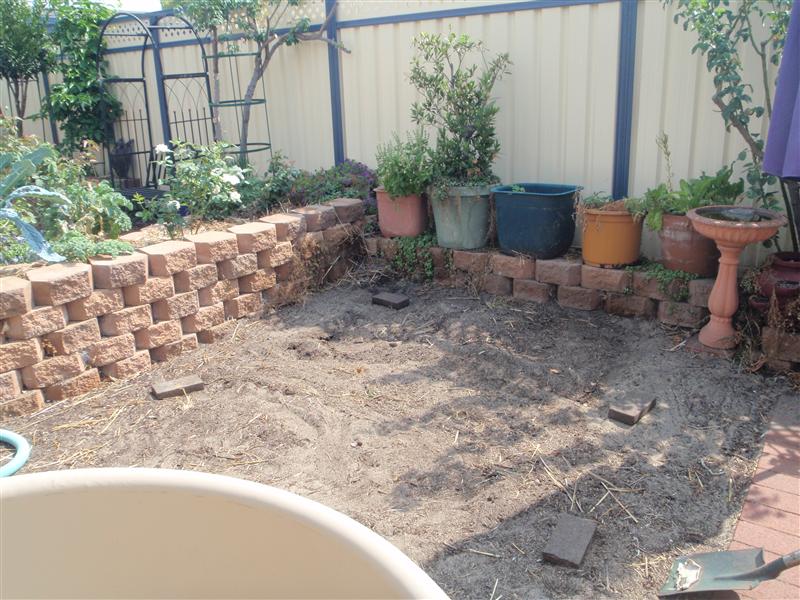 P2140094 (Custom).JPG