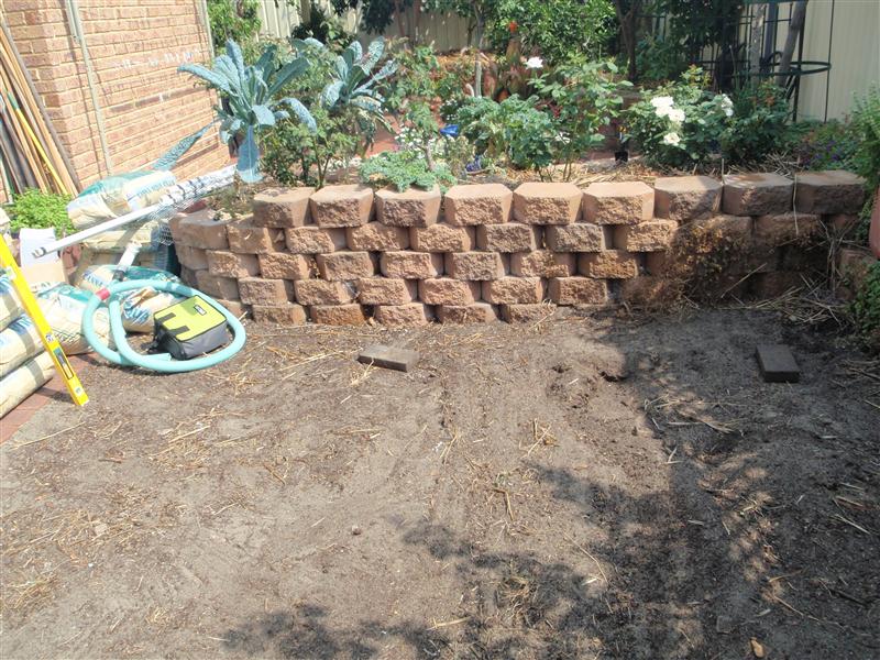 P2140096 (Custom).JPG