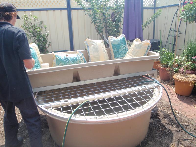 P2140097 (Custom).JPG