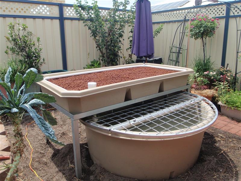 P2140102 (Custom).JPG