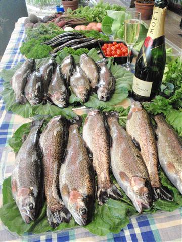 PA280332 (Small).JPG