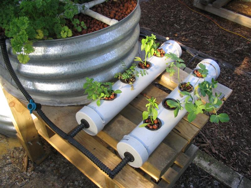 IMG_1823 (Medium).jpg