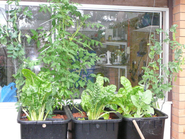 more of nicks three tubs.jpg