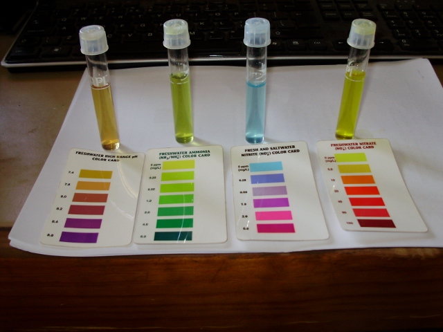 IRRIGATION WATER STARTED WITH.jpg