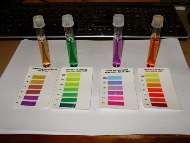 1ST READING 17.02.13.jpg