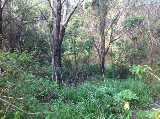 ImageUploadedByTapatalk HD1361095581.315349.jpg