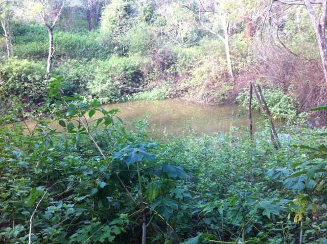 ImageUploadedByTapatalk HD1361096070.766999.jpg