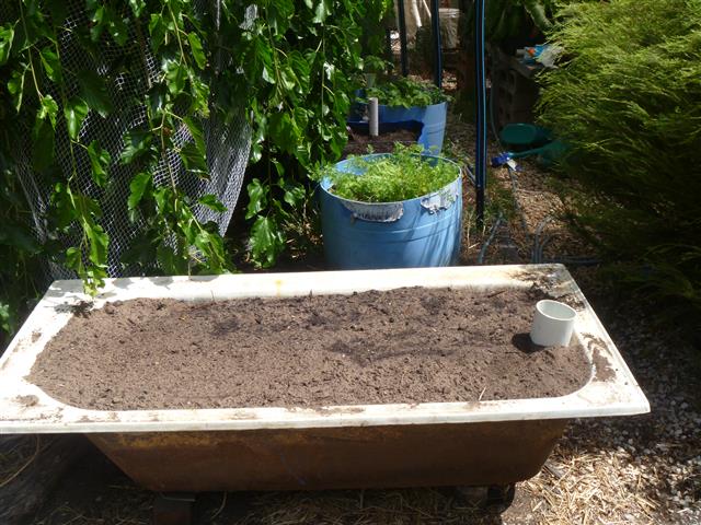 P1010178 (Small).JPG