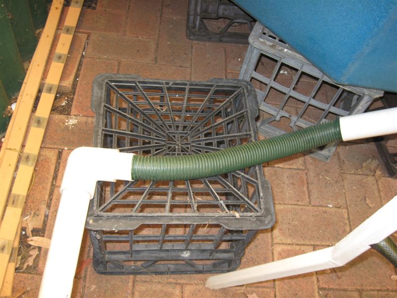 IMG_0250 (Medium).jpg