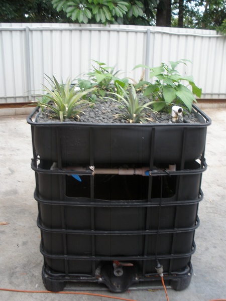 20121224 - P1010009.JPG