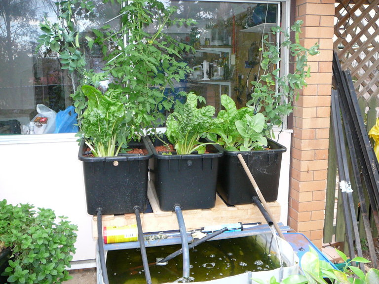 nicks three tubs.jpg