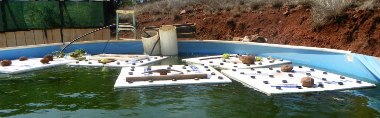 Rafts Filters Pau.jpg