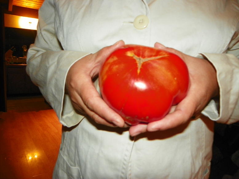 Big tomatoe.jpg