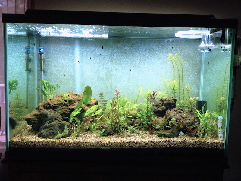 2013-02-22 10.07.50.jpg