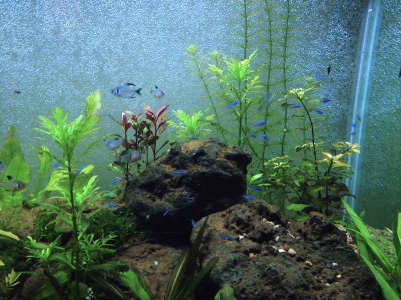 2013-02-22 11.57.23.jpg