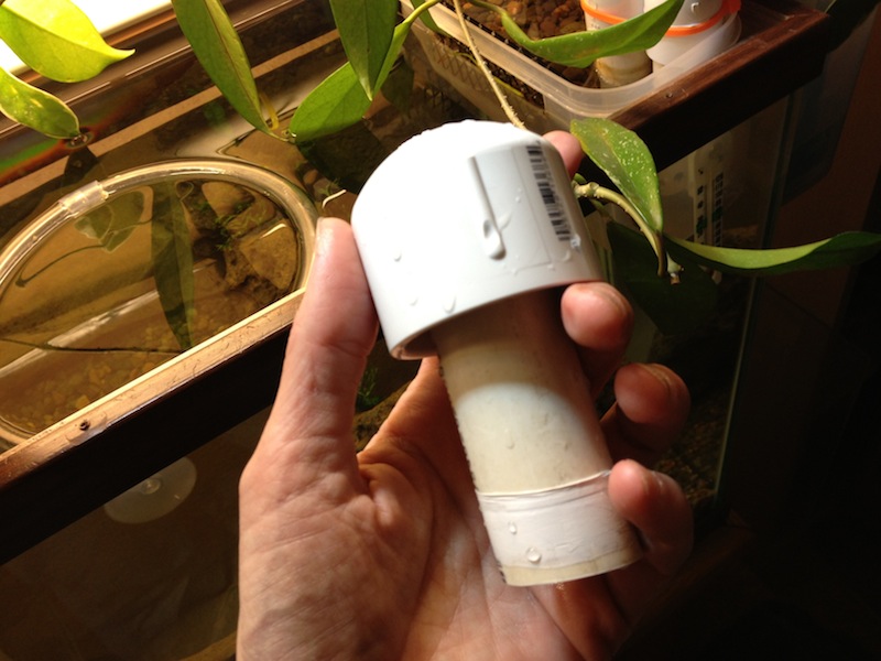 2013-02-22 19.14.41.jpg