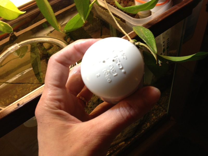 2013-02-22 19.14.48.jpg