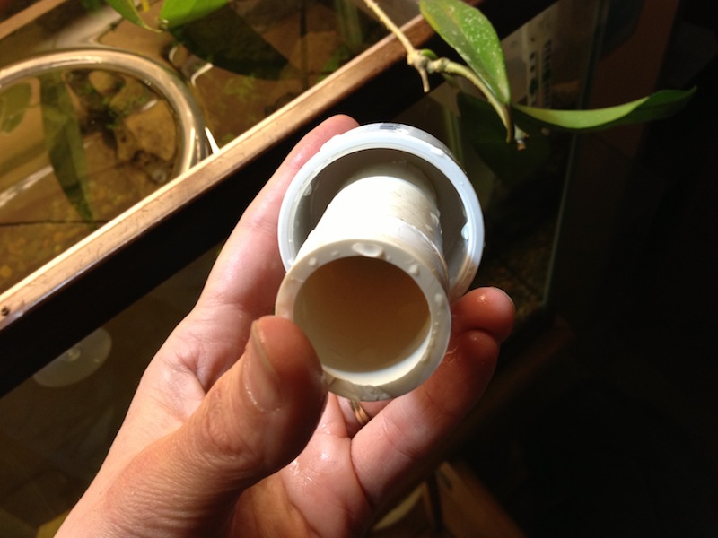 2013-02-22 19.15.01.jpg