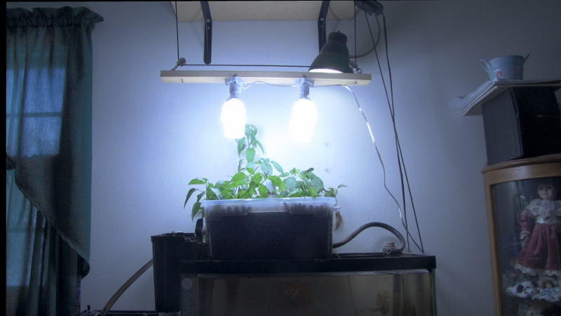 Debevec_pregamma_1_mantiuk08_auto_luminancecolorsaturation_1_contrastenhancement_1 (800x450).jpg