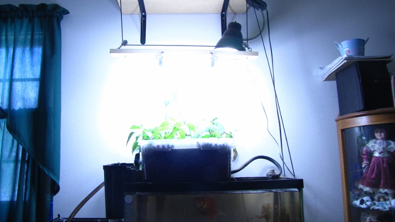 IMG_5294 (800x450).jpg