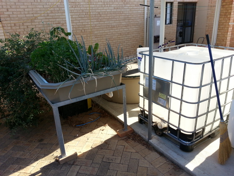 2013-02-23 17.42.25.jpg