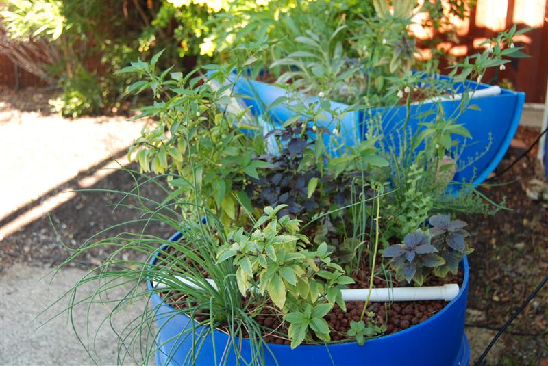 DSC_0238 (Custom).JPG