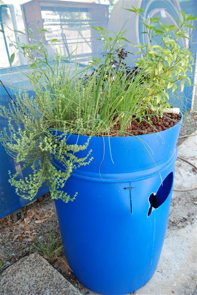 DSC_0235 (Custom).JPG