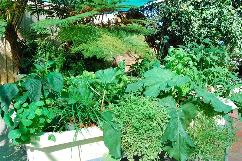 DSC_0279 (Custom).JPG