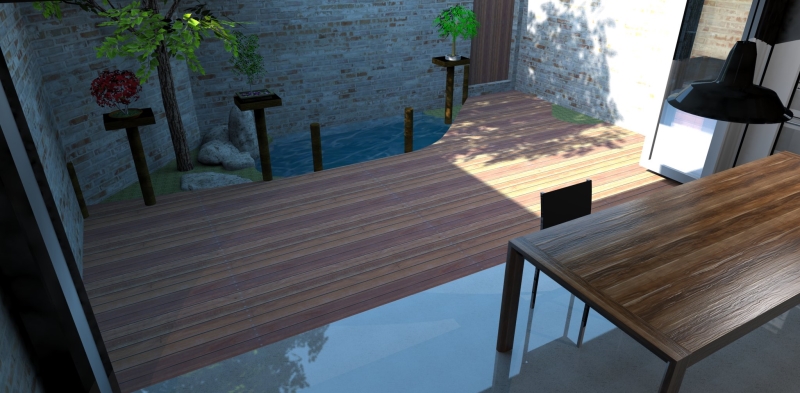 backyard afternoon light.jpg