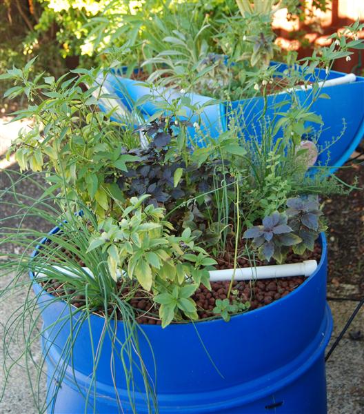 Blue barrel system at BYAP (Custom).jpg