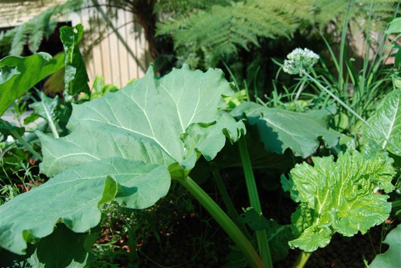 DSC_0281 (Custom).JPG