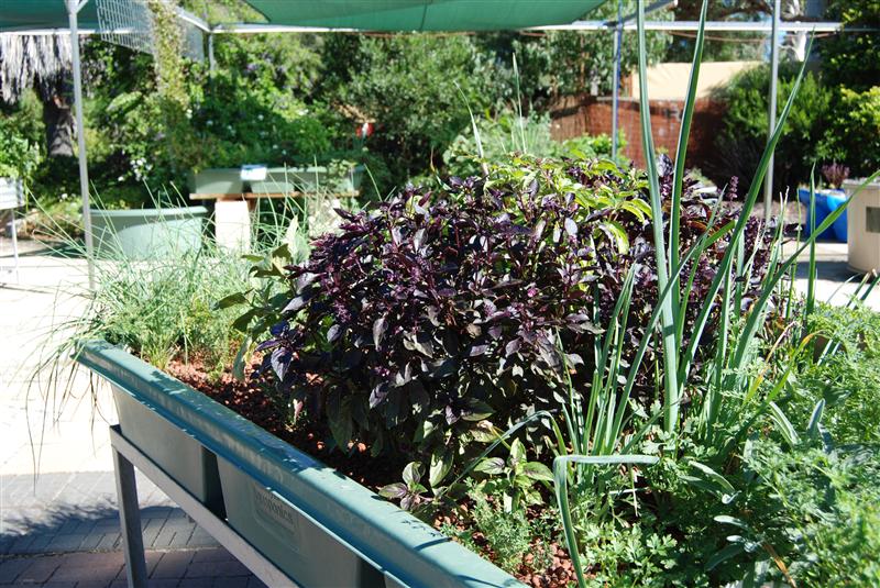 DSC_0250 (Custom).JPG