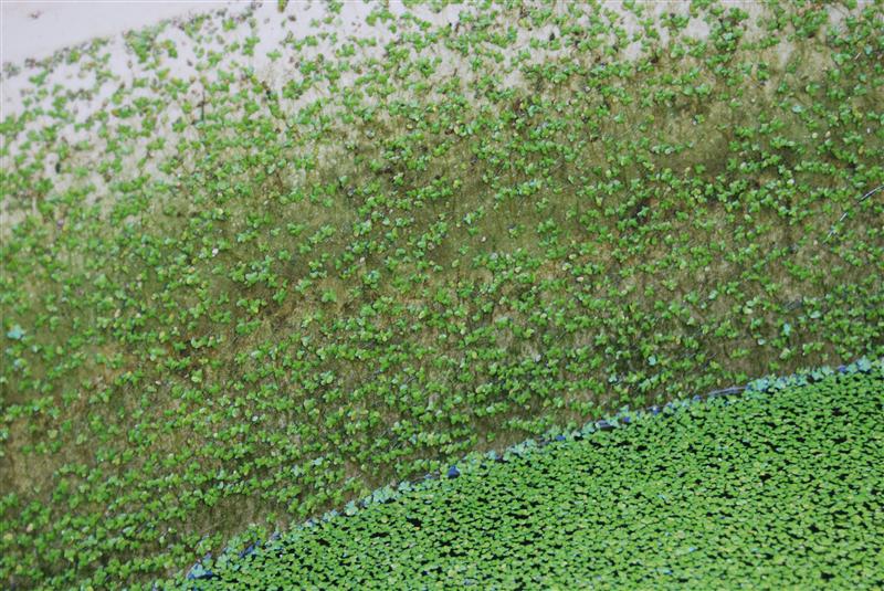 DSC_0220 (Custom).JPG