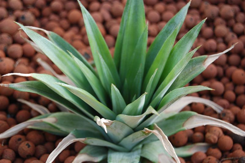 DSC_0192 (Custom).JPG