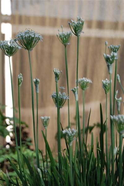 DSC_0193 (Custom).JPG