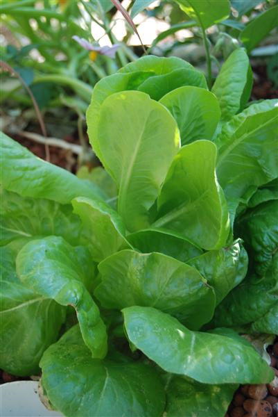 DSC_0197 (Custom).JPG