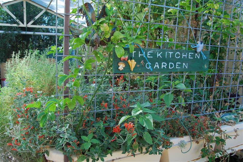 DSC_0203 (Custom).JPG